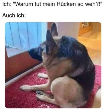 Meme "Warum tut mein Rücken so weh?!"