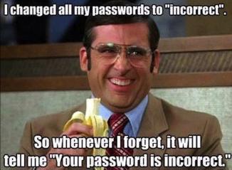 Meme incorrect password