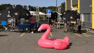aufblasbarer Flamingo