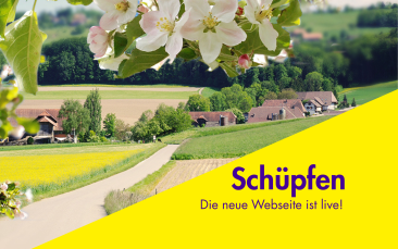 Neue Website für Schüpfen